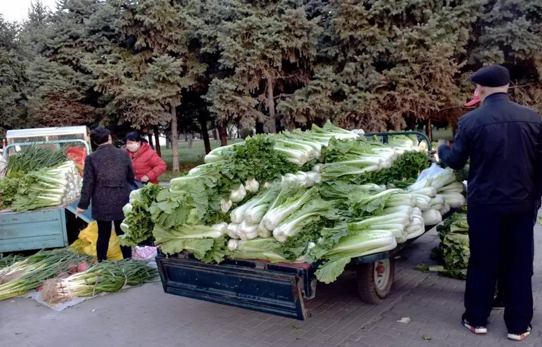 文艺复兴东北往事,东北的文艺复兴