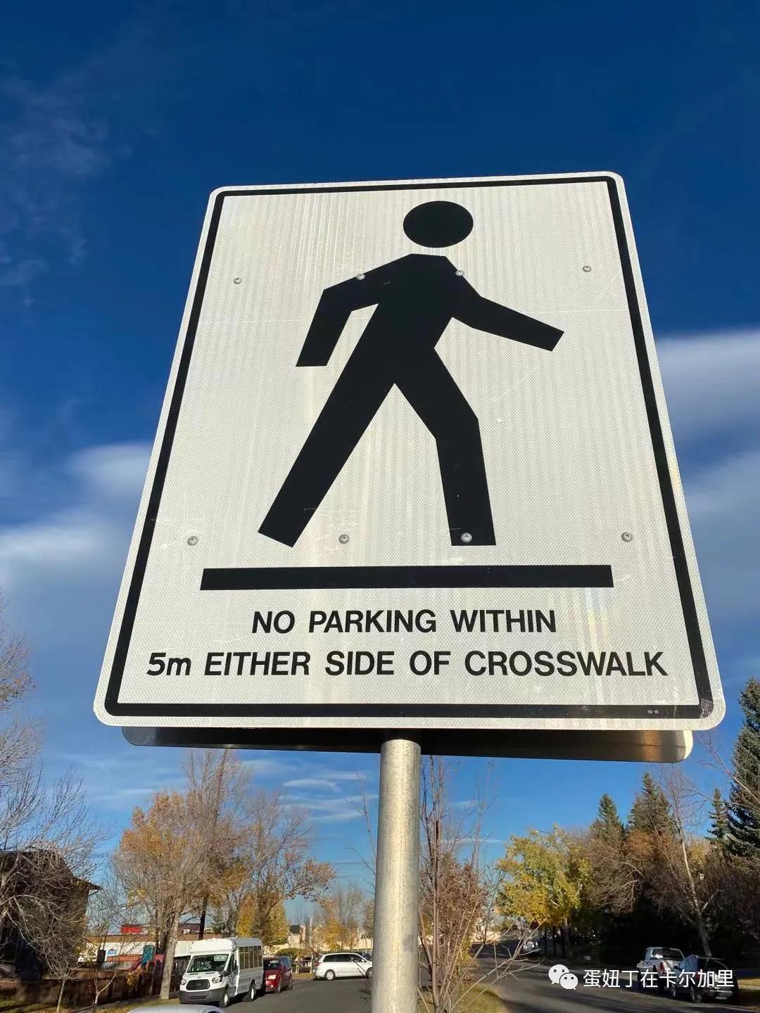 老司机谈开车,老司机聊车大全