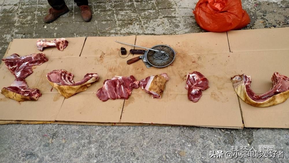 【春膳】尝鲜野猪肉