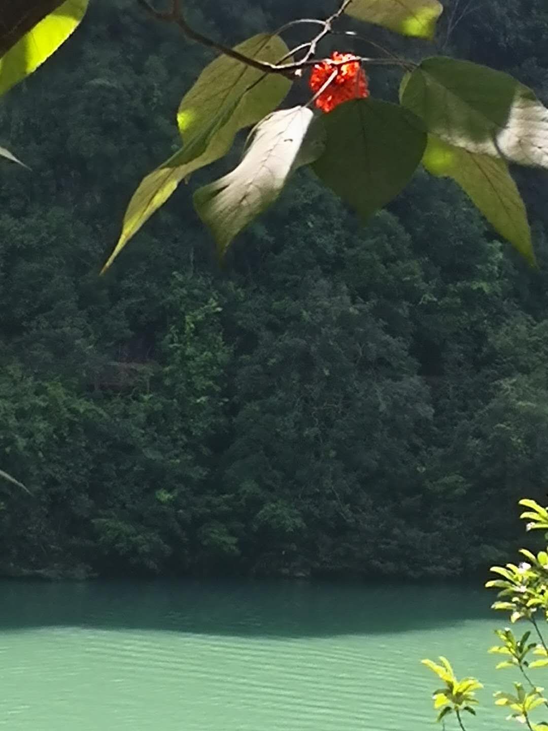 荔波小七孔的水是哪里来的,贵州荔波大七孔一天时间够吗