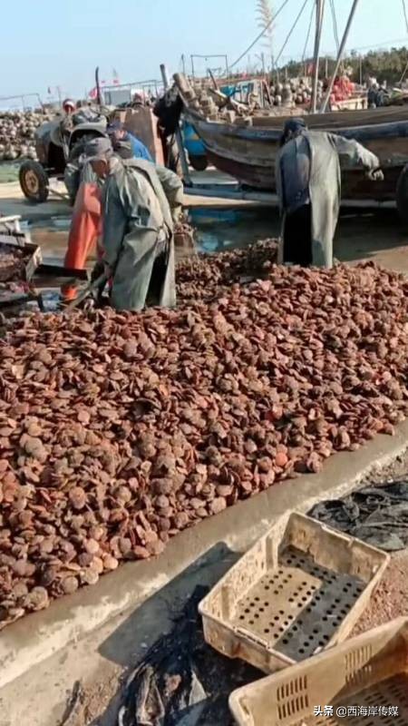 疫情期间村干部捐款为群众买菜,干部帮助村民卖农产品