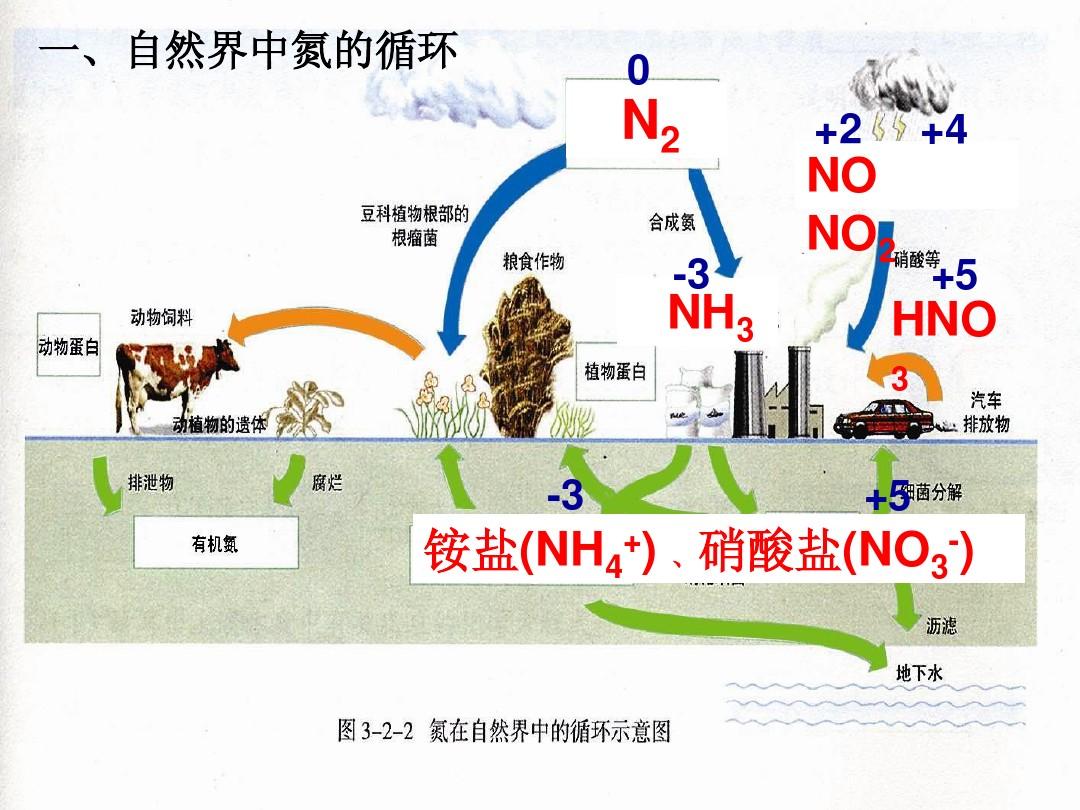 鱼缸不换水硝酸盐怎么处理,鱼缸爆氧可以减少硝酸盐吗