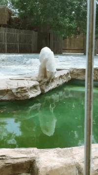 搞笑gif开心一刻我受了太多的委屈,踢足球腿抽筋搞笑gif