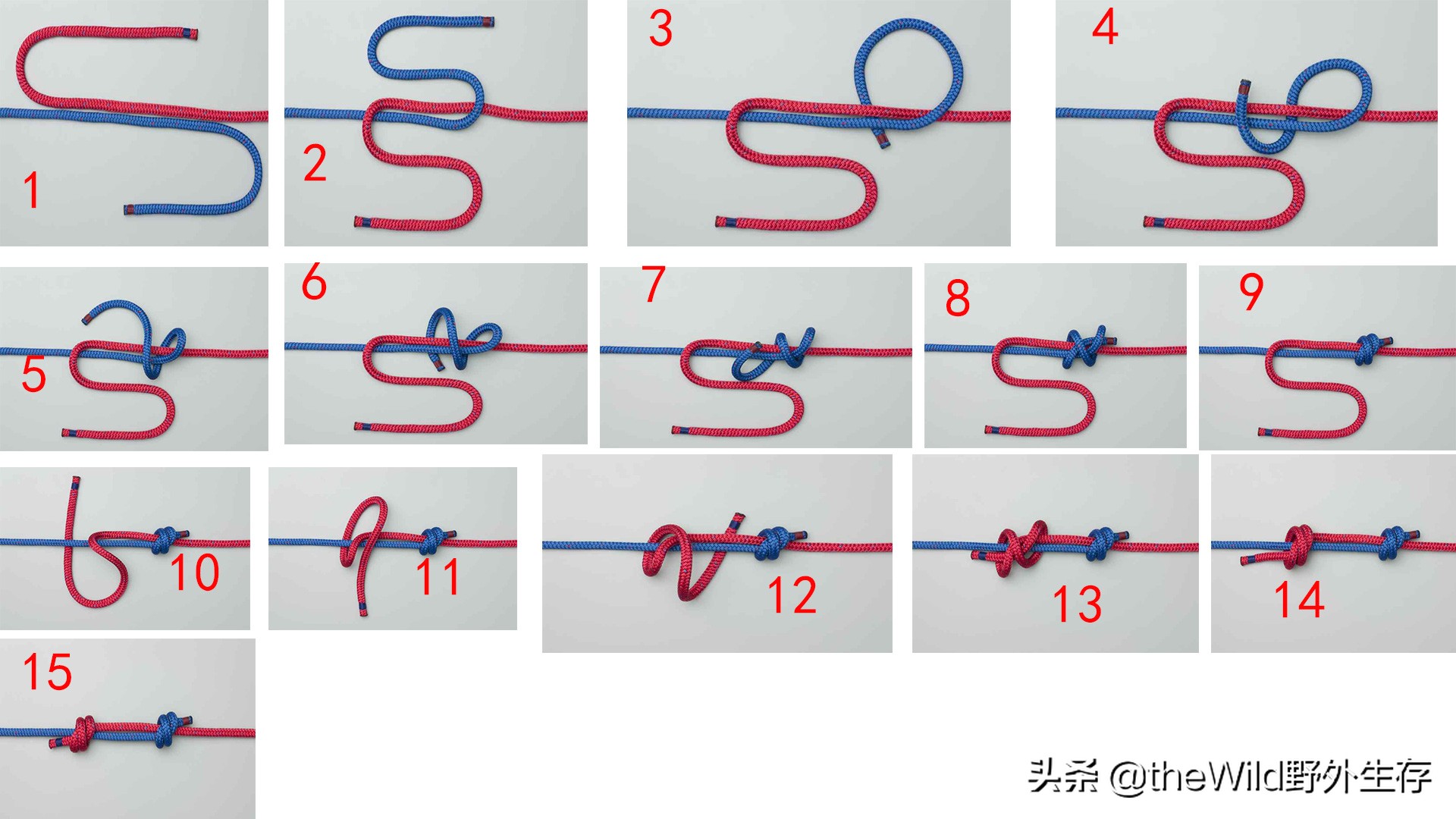户外求生如何打绳结,野外生存25种绳结打法