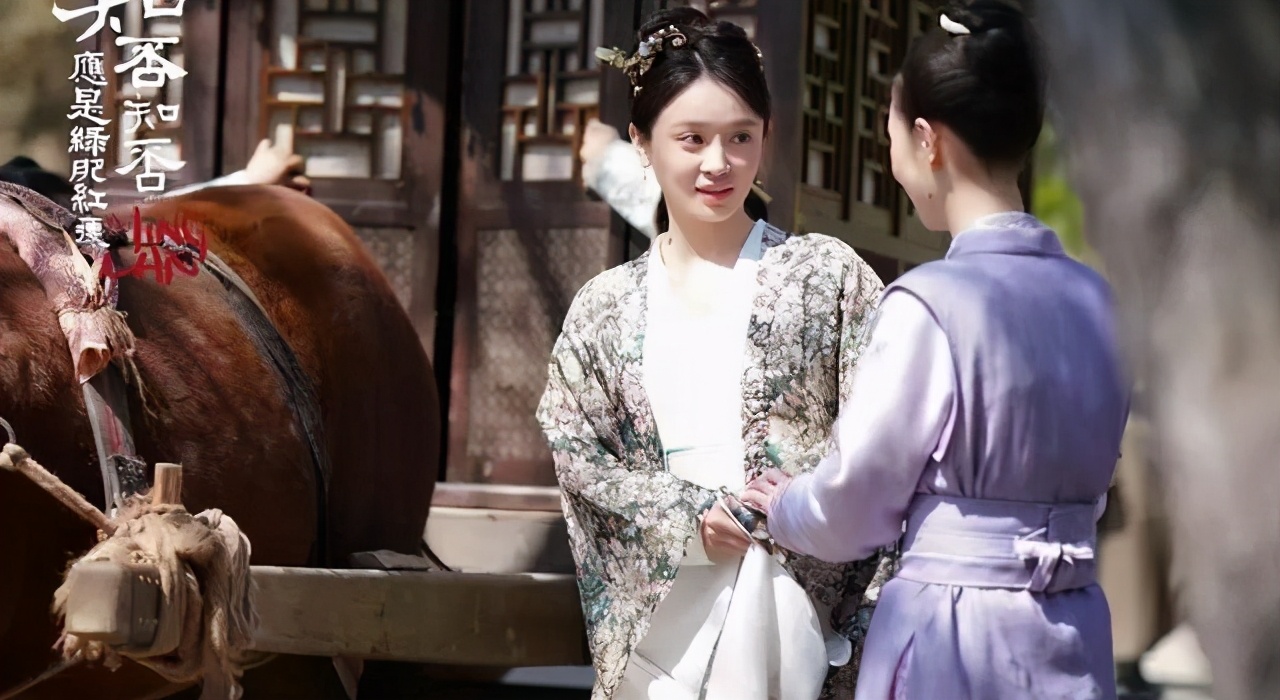 知否柳氏墨兰,知否原著墨兰和吴大娘子