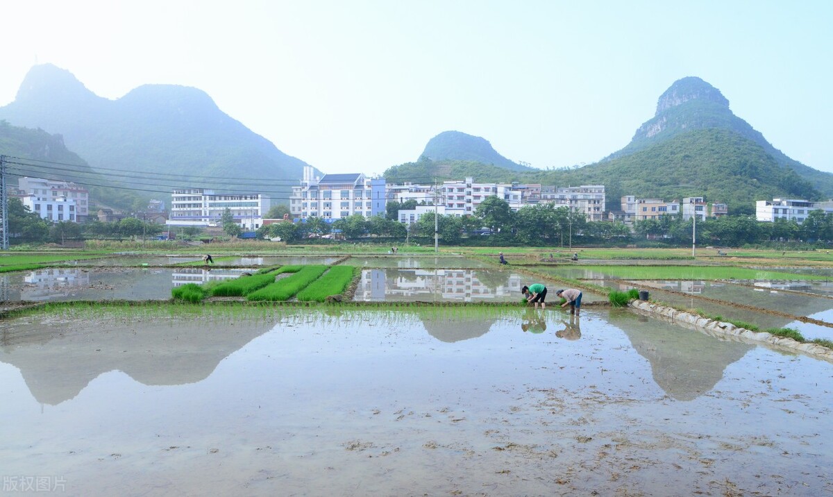戒掉小说瘾的最好方法,如何戒掉一本小说的瘾