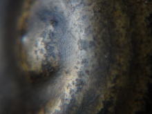 鉴宝高古瓷视频,高古瓷鉴定视频