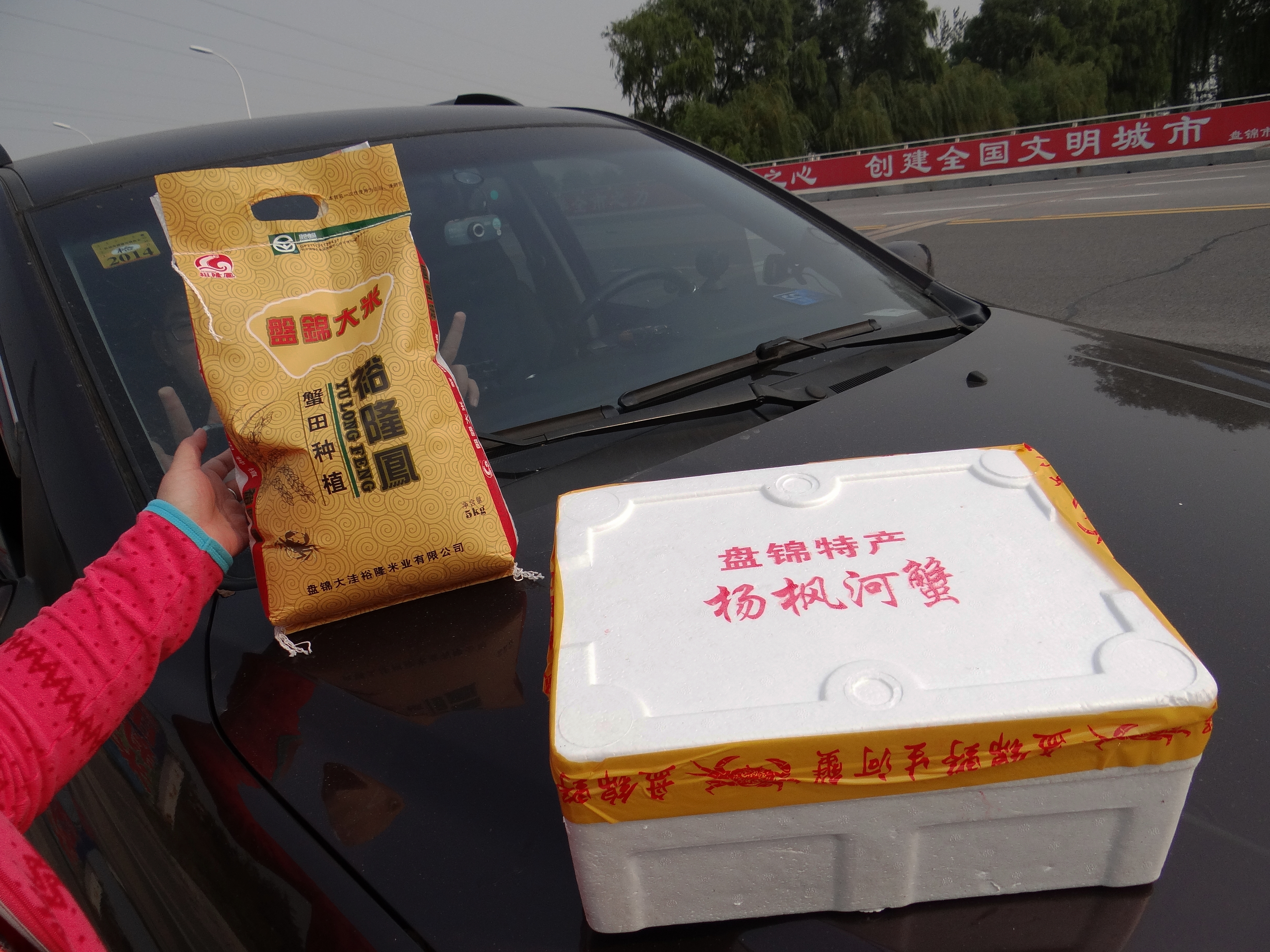 盘锦红海滩碱蓬草,神奇的碱蓬草