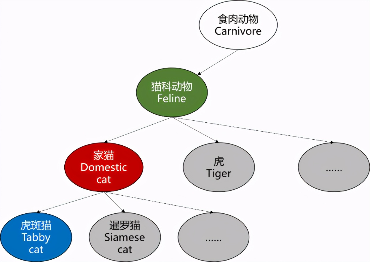 华为云IEEETPAMI论文：可解释模型助力知识+AI融合