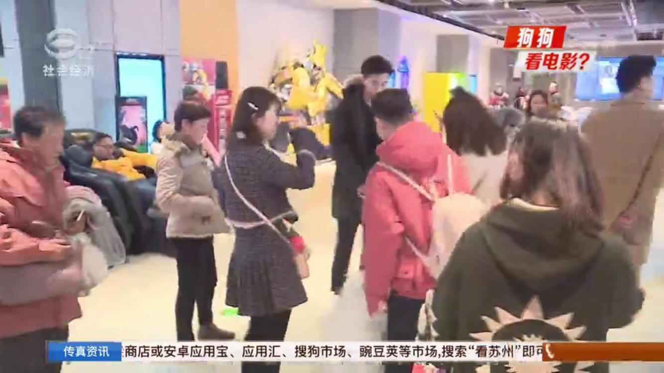 狗狗包场看电影,带狗包场看电影