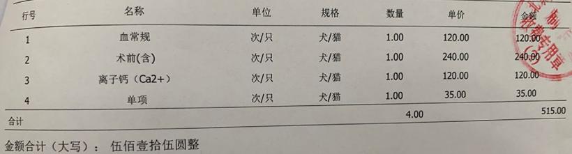 英短蓝白母猫最佳绝育年龄,英短蓝猫小奶猫的成长历程