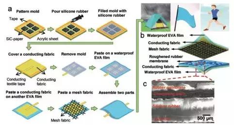 师承王中林、鲍哲南，这位青年科学家打造自发电的软机器人｜专访