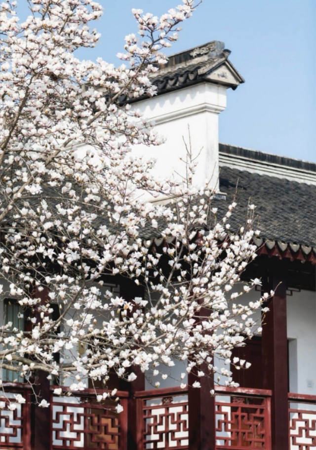 描写春天的好句子摘抄10个字,写春天的优美语段好句子摘抄