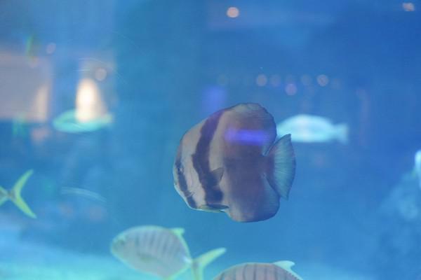 亚龙湾度假酒店全部测评,亚龙湾一线海景哪个酒店比较好