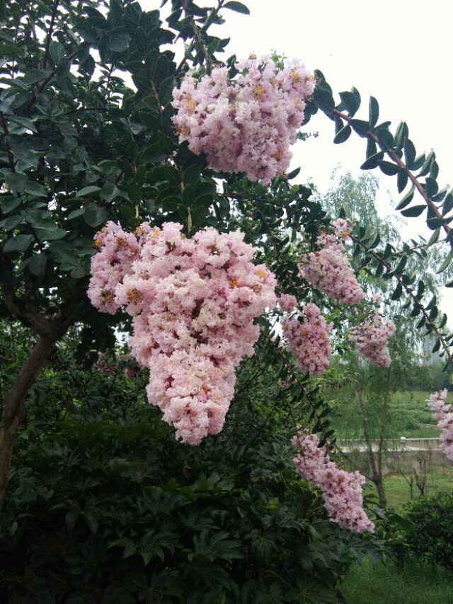 当年离骚经典语句,离骚经典咏流传