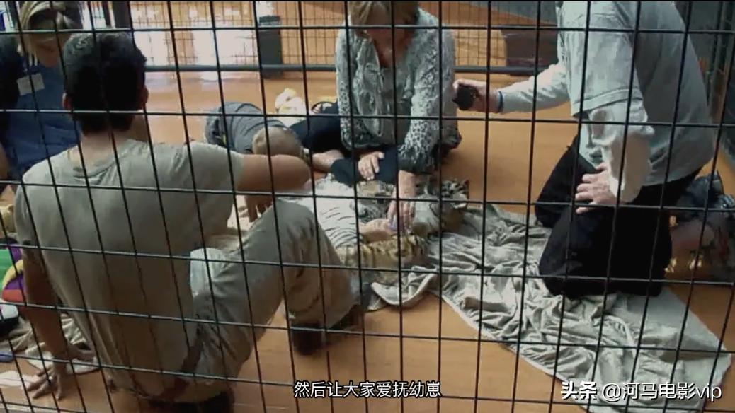 这部魔幻纪录片，在美国竟然比疫情还火！