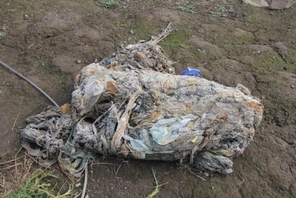 澳洲居民抢购厕纸,没有买到卫生棉用洗脸巾代替