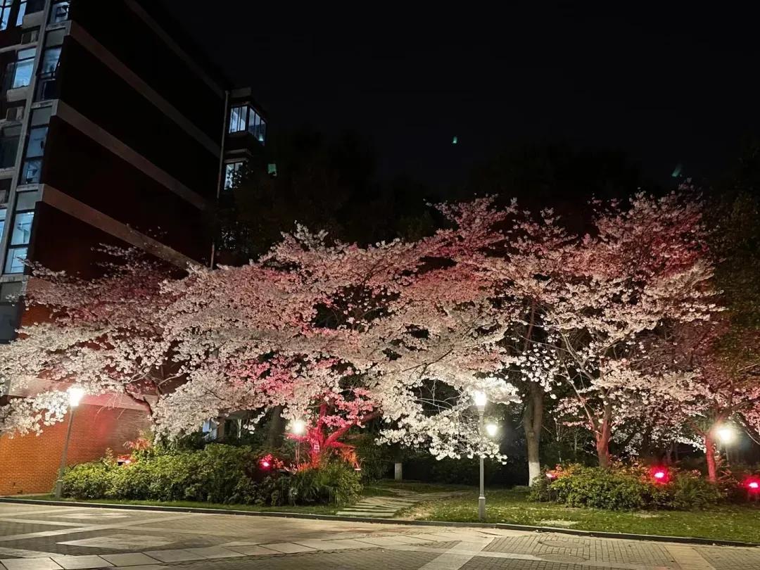 江苏省五星级高中（四）江苏省锡山高级中学