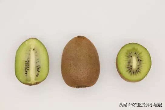 猕猴桃中国最好吃的品种,中国猕猴桃什么品种最好吃