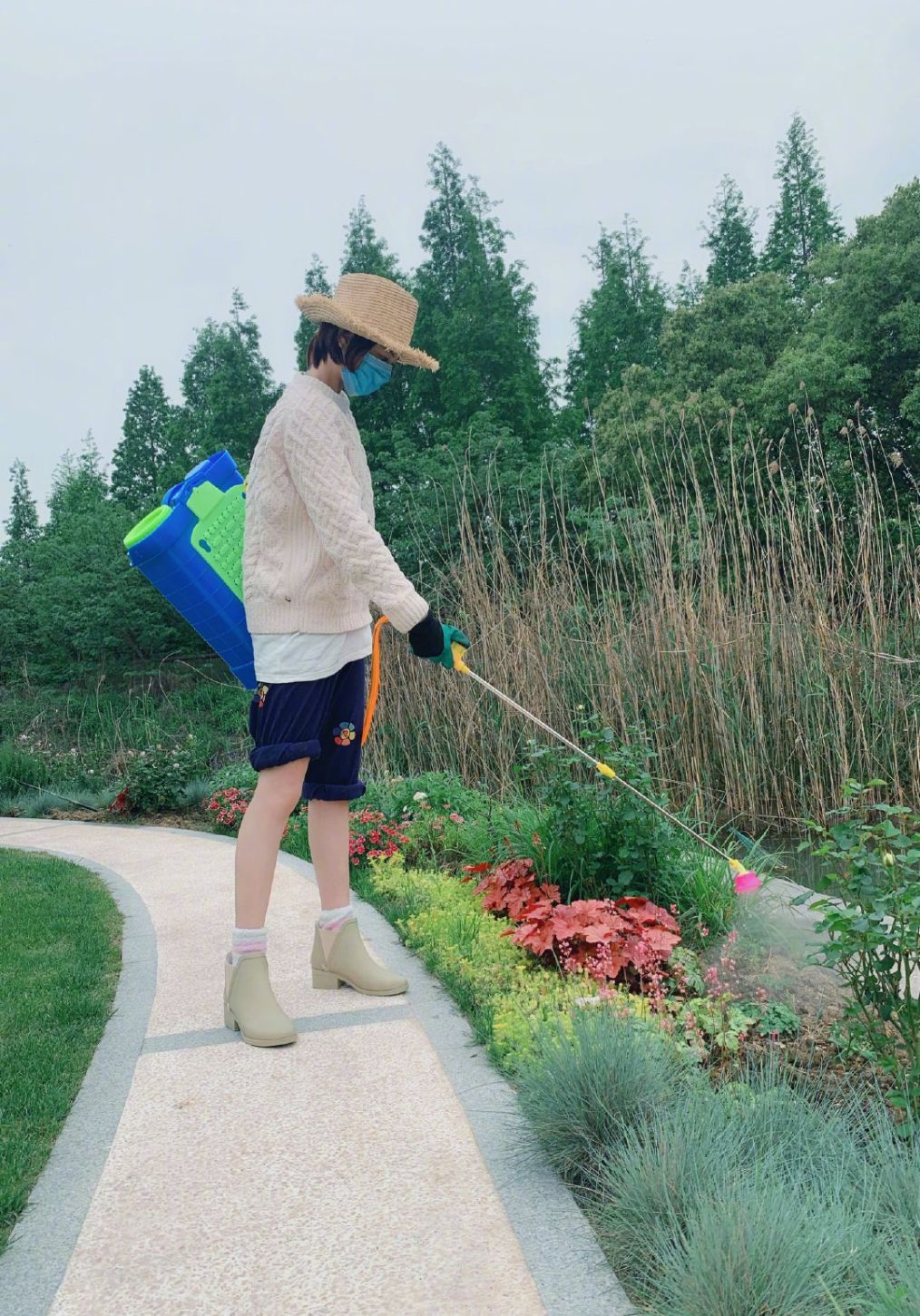 张馨予帮助摔倒的老人,张馨予帮助的老爷爷的视频