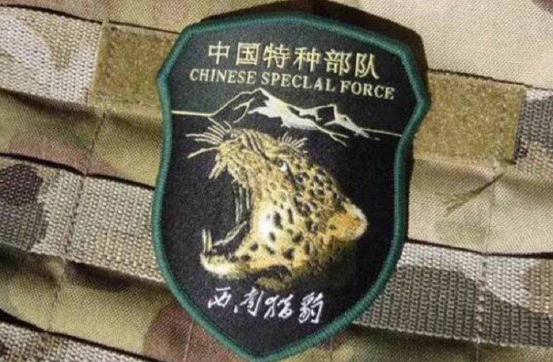 中国人民解放军军衔标志符号,中国军队特种部队代号