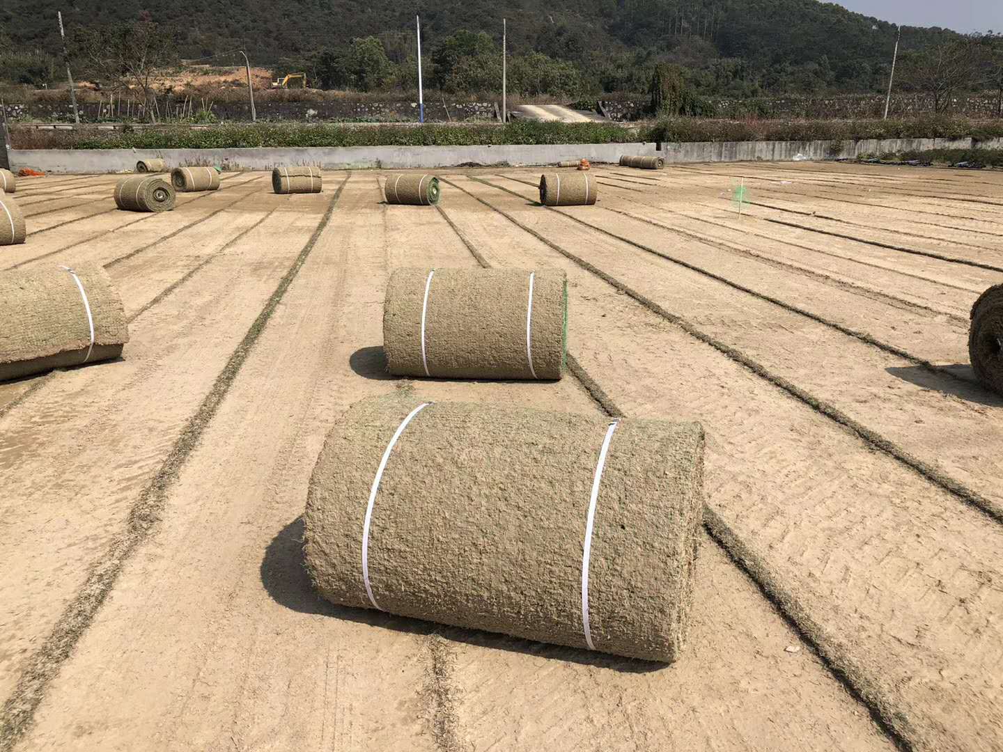 从海口观澜湖到万达|嘉美茵体育致力于打造中国足球基地新地标