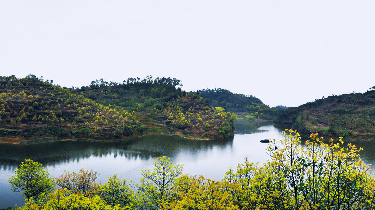 四川旅游踩坑的地方,贵州旅游踩坑