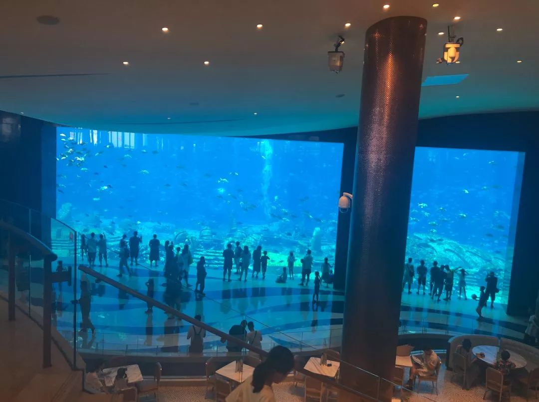 5天亚特兰蒂斯亲子游,带孩子亚特兰蒂斯游玩