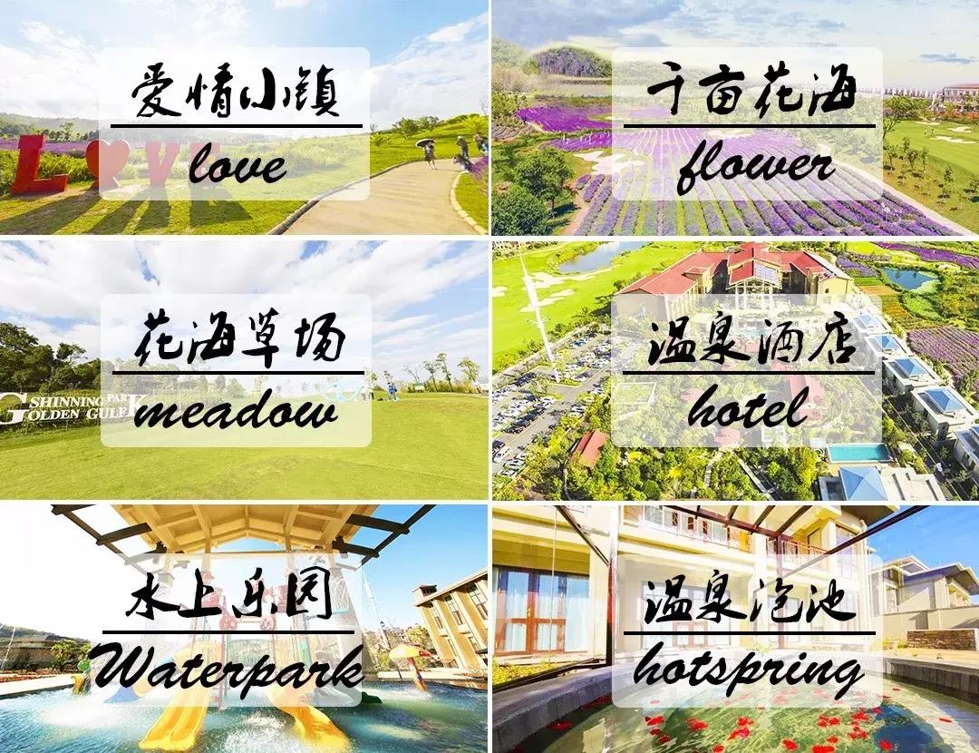 曲靖这31个景点你都去过了吗,曲靖千亩花海美景