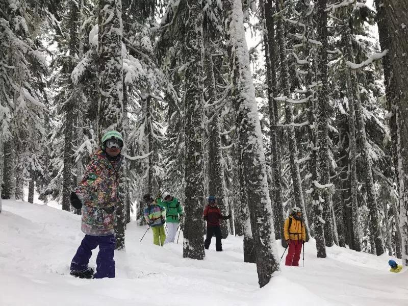 冬奥1000天,冬奥100天央视活动