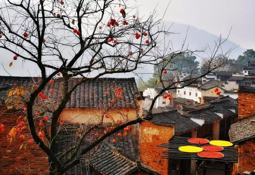 高效摄影,摄影慢动作