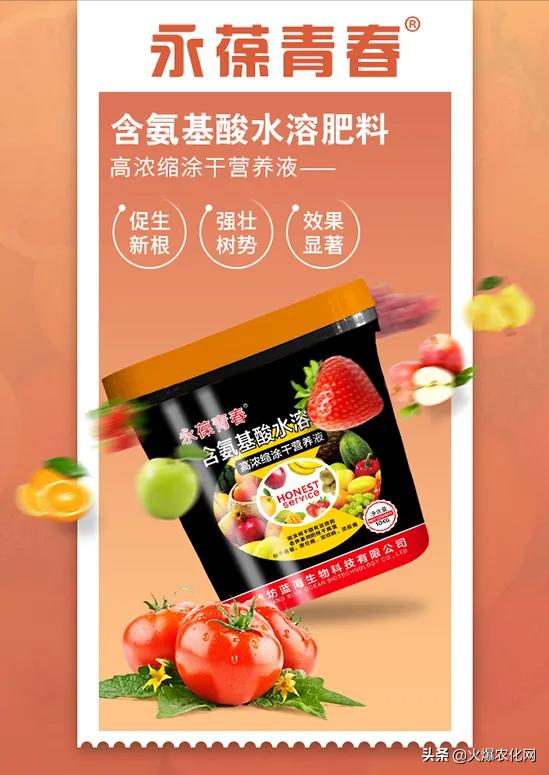 果树纹褐病防治方法,果树流胶病最新防治方法