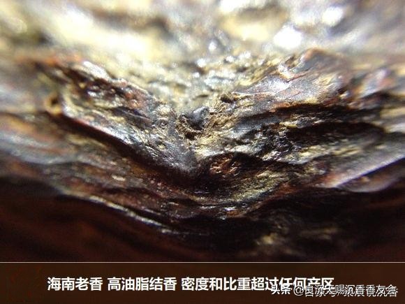 海南沉香特征图解,海南红土沉香味道和特征