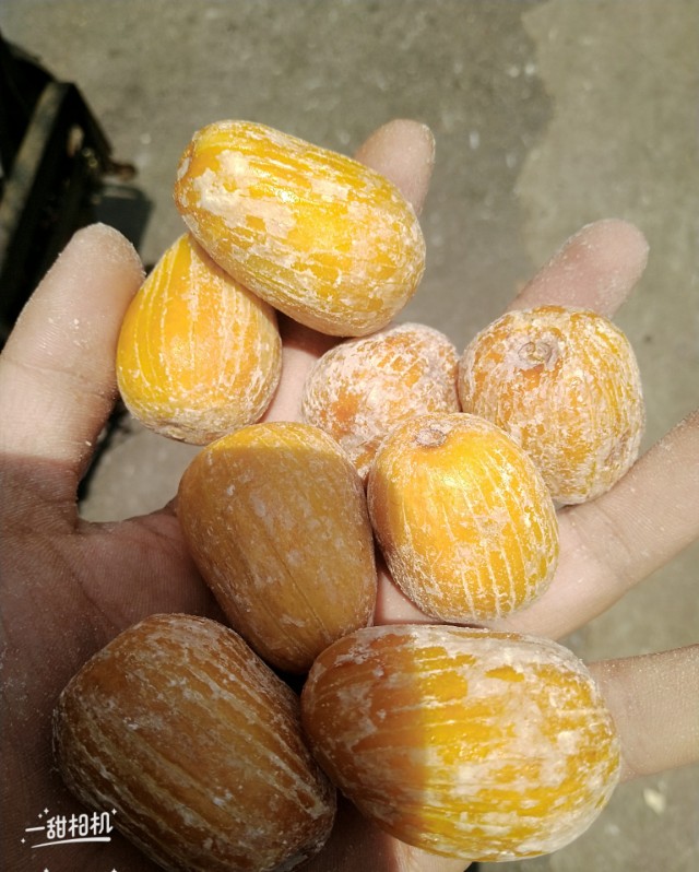 蜜枣吃了有什么好处和坏处,蜜枣吃多了会有什么害处