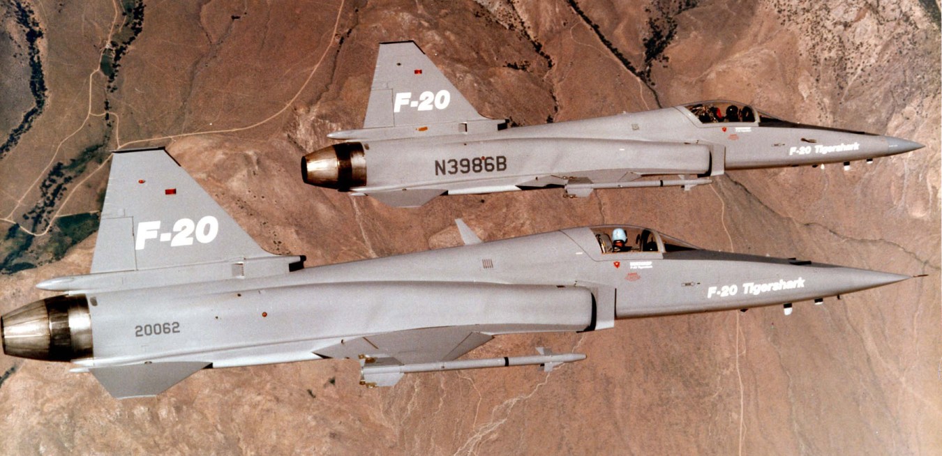 极富悲剧色彩的虎鲸,虎鲨悲剧