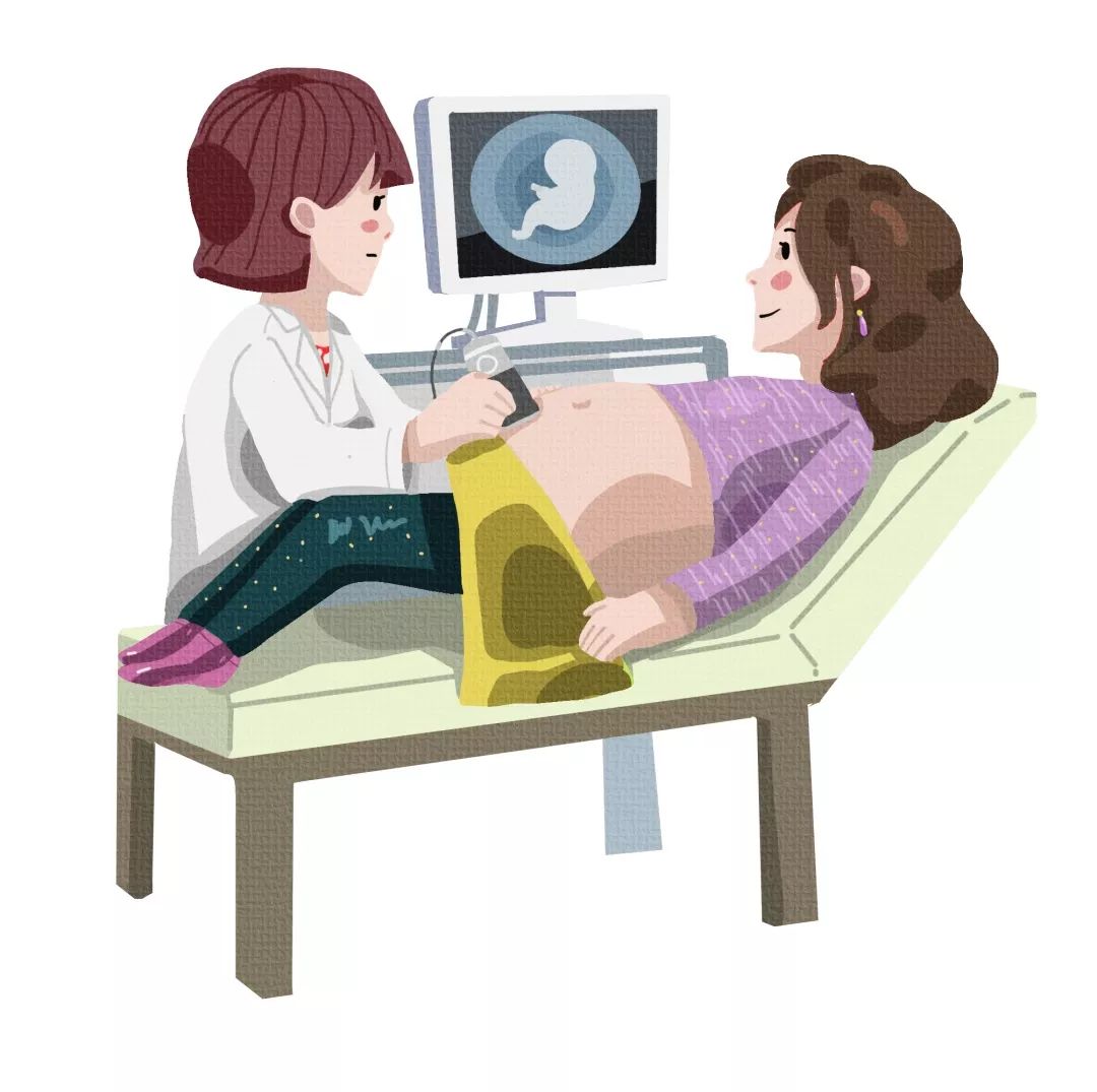 母亲孕育生命的过程,孕育生命的美文