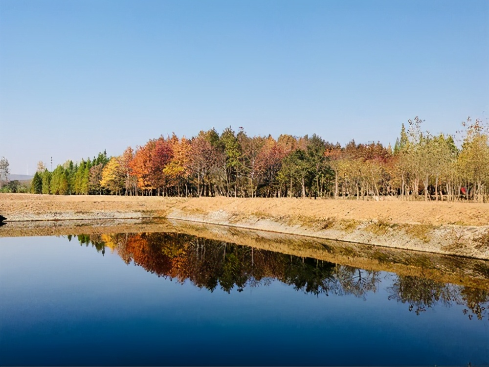 寻找南京的烟火气,南京六朝古都美食攻略