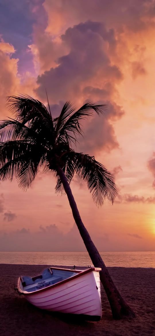 100张田园风光自然风景全屏壁纸,1亿像素8k超逼真电脑壁纸全屏风景