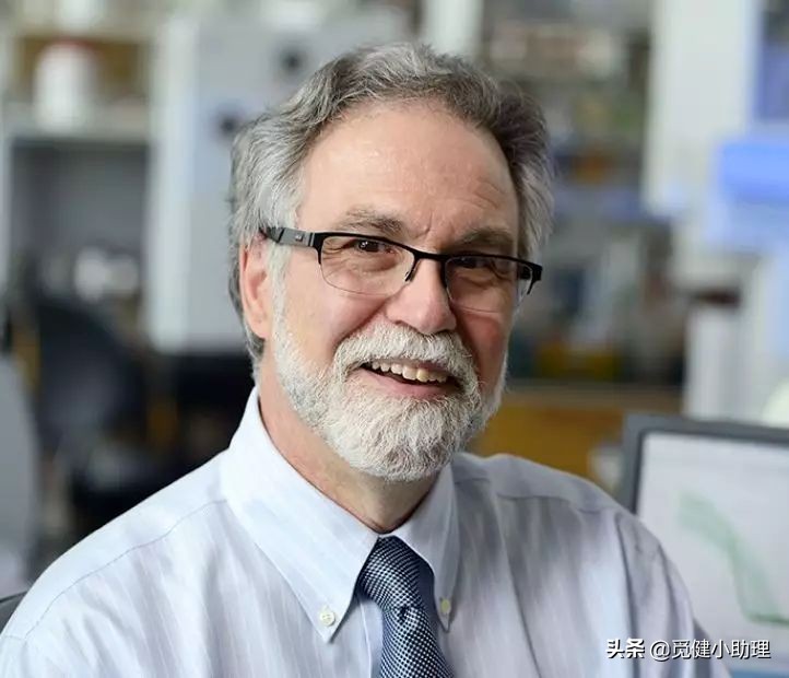 抗癌专家30年治疗癌症,癌症免疫治疗诺贝尔奖