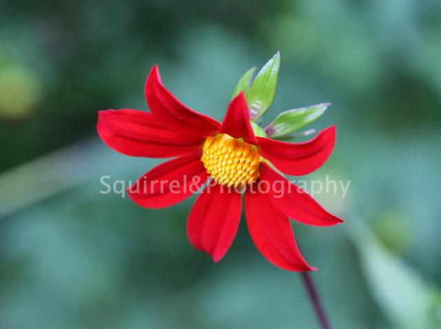 期权开户30万解决方法,期货期权个人开户