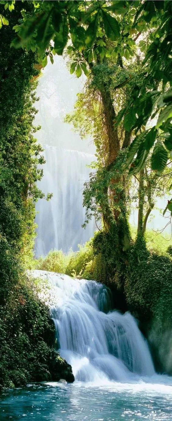 虫草山水画,四季花草山水画作品欣赏