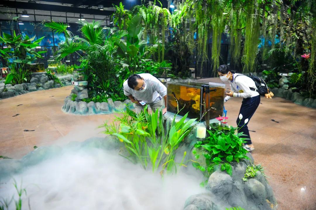 免费！森林物语•虫现江湖，“热带雨林”空降济南！