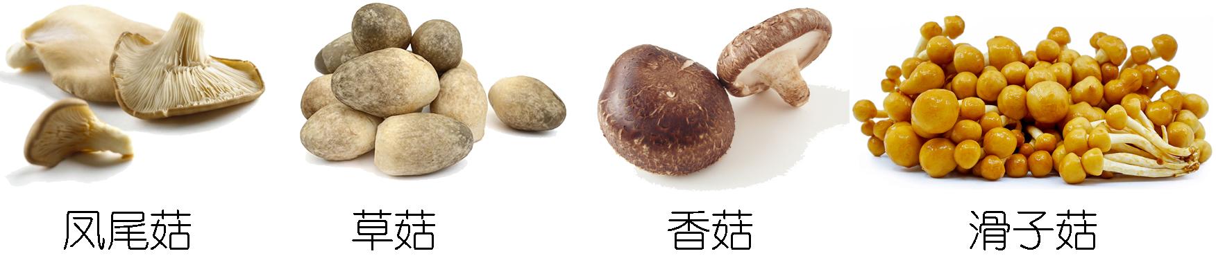 在家种蘑菇菌包靠谱吗,家种蘑菇菌包