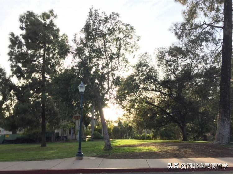 留学生需要警惕的地方,出国留学注意事项和陷阱