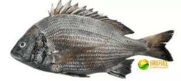 舟山海鲜攻略2天3晚吃什么,舟山海鲜代加工攻略