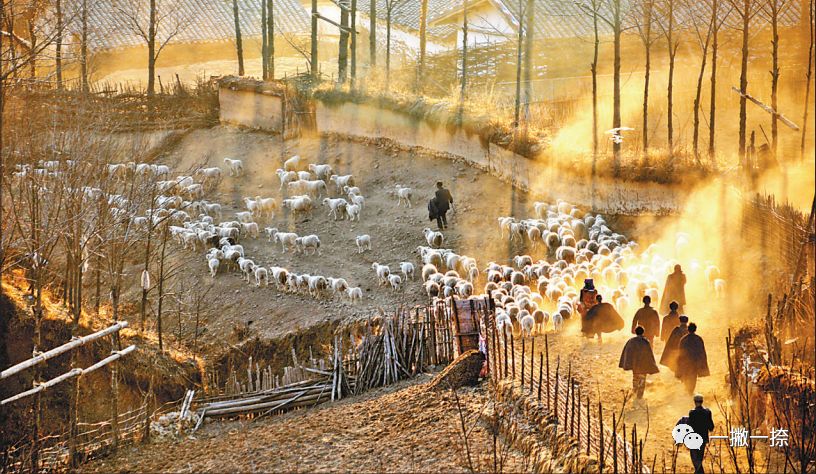 人民日报好看的图片,快看人民日报