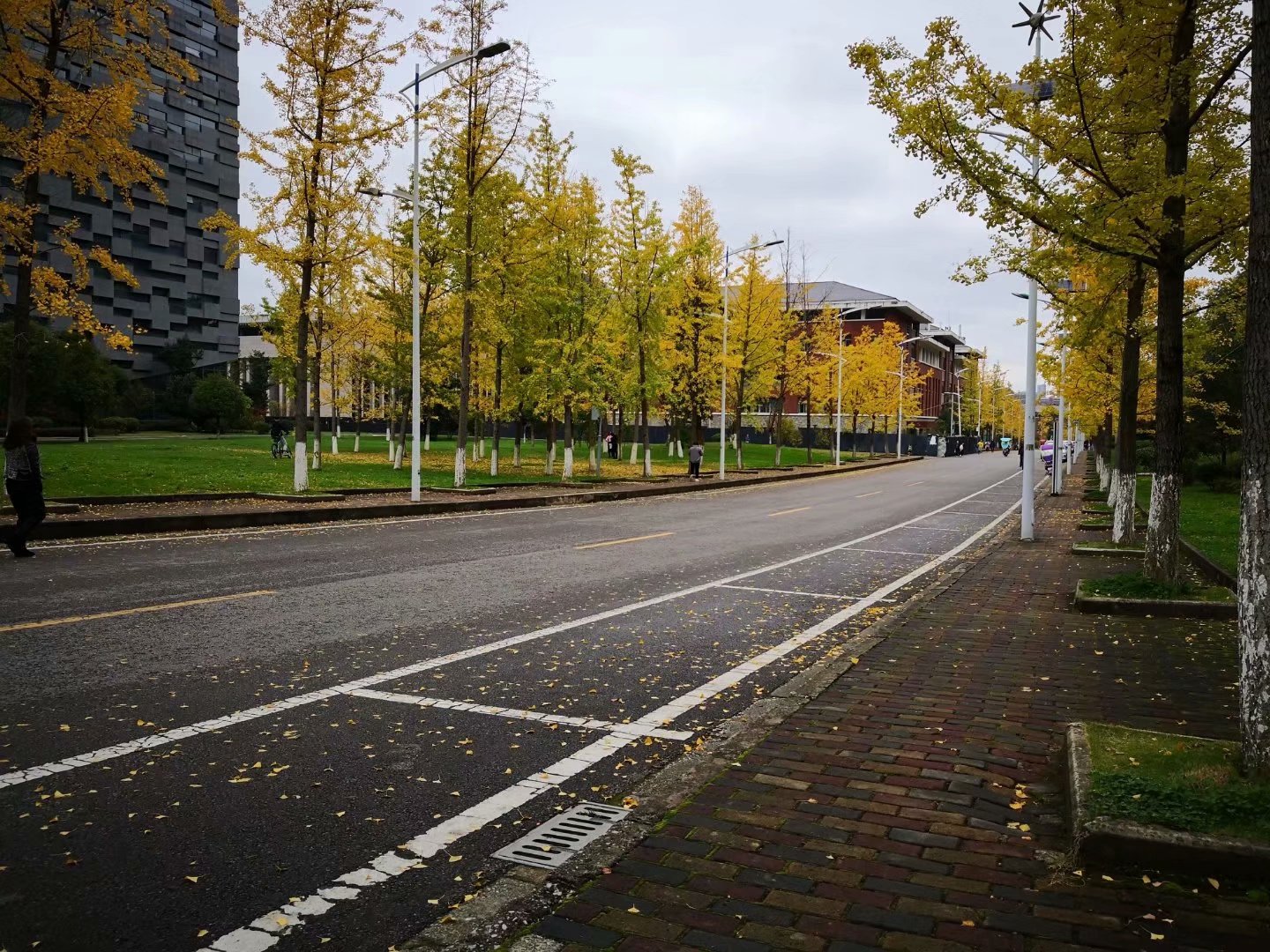 那个参加法国界外艺术交流和捐赠700万的夜郎谷究竟是怎样的呢？