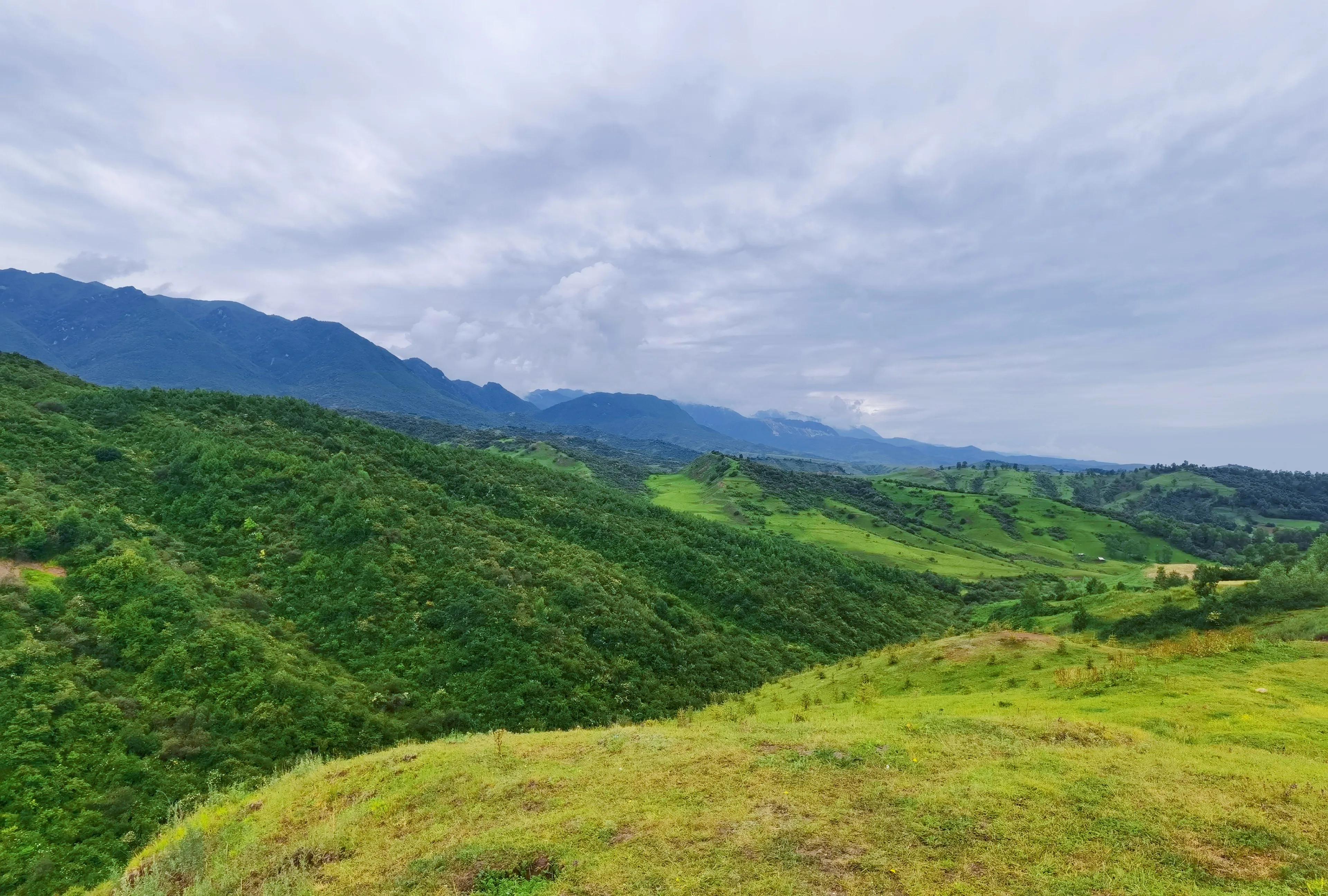 讲好家乡故事助力乡村振兴,讲好乡村振兴故事由哪个部门负责