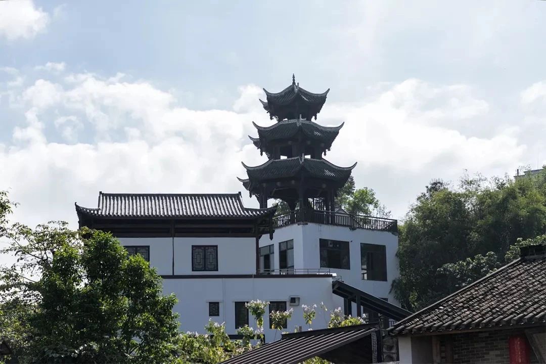 2021深圳免费适合遛娃玩地方排名,深圳免费游玩景点推荐