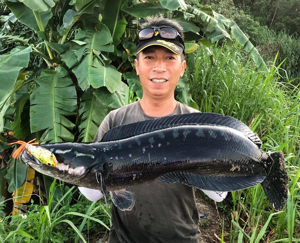 铁血战士打黑武士,铁血战士打特种兵